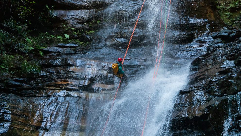 Abseil Empress Falls with the Blue Mountains Adventure Company. Credit: Dale Martin